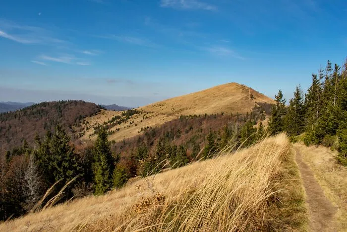 My 35 Photographs Of Ukrainian Carpathians