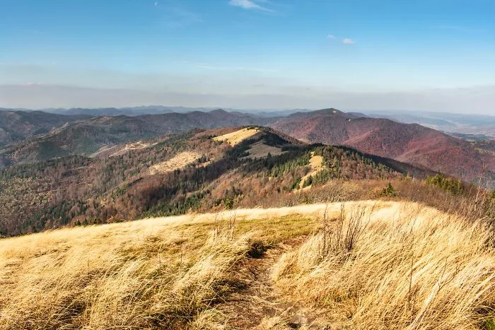 My 35 Photographs Of Ukrainian Carpathians 