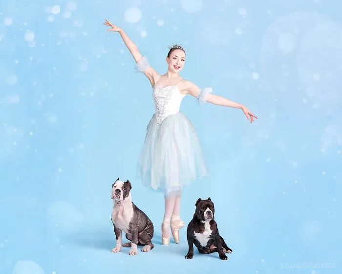 The Muttcracker: Ballet Dancers Dance With Dogs And Cats Who Are Waiting To Get Adopted (50 Pics)