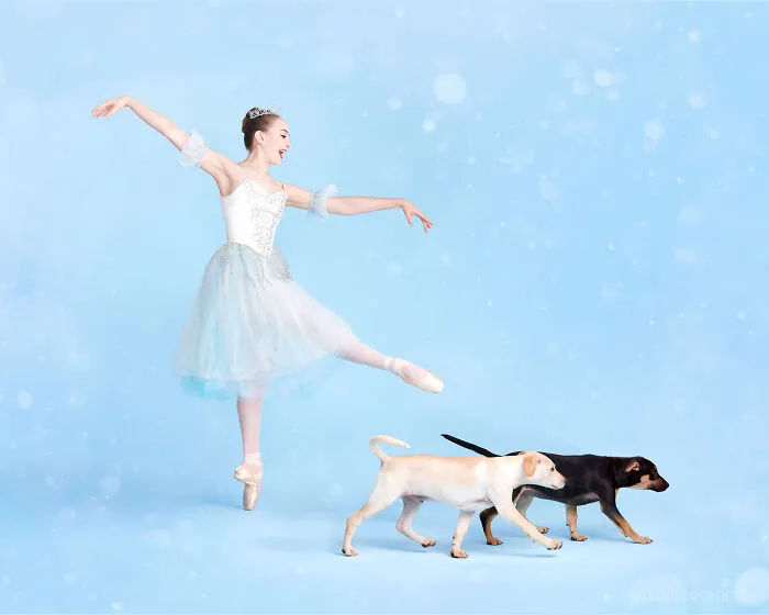 The Muttcracker: Ballet Dancers Dance With Dogs And Cats Who Are Waiting To Get Adopted (50 Pics)