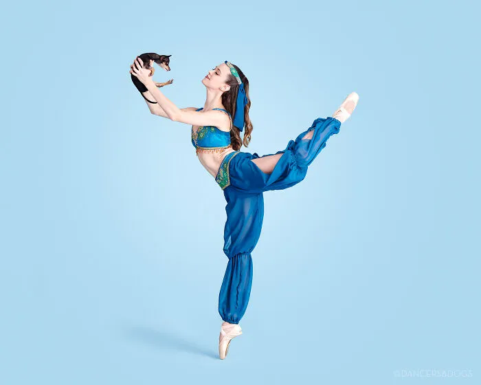 The Muttcracker: Ballet Dancers Dance With Dogs And Cats Who Are Waiting To Get Adopted (50 Pics)