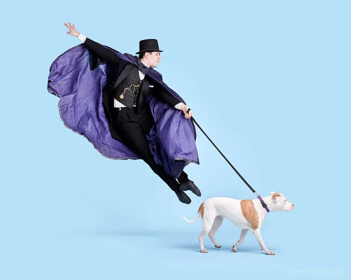 The Muttcracker: Ballet Dancers Dance With Dogs And Cats Who Are Waiting To Get Adopted (50 Pics)
