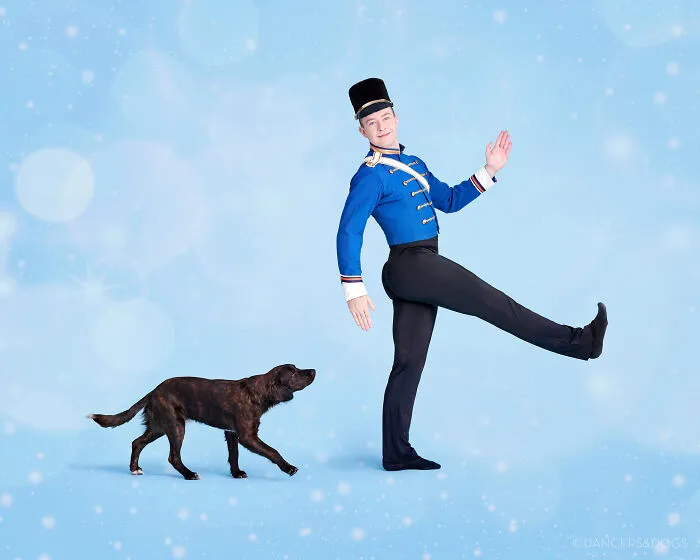 The Muttcracker: Ballet Dancers Dance With Dogs And Cats Who Are Waiting To Get Adopted (50 Pics)
