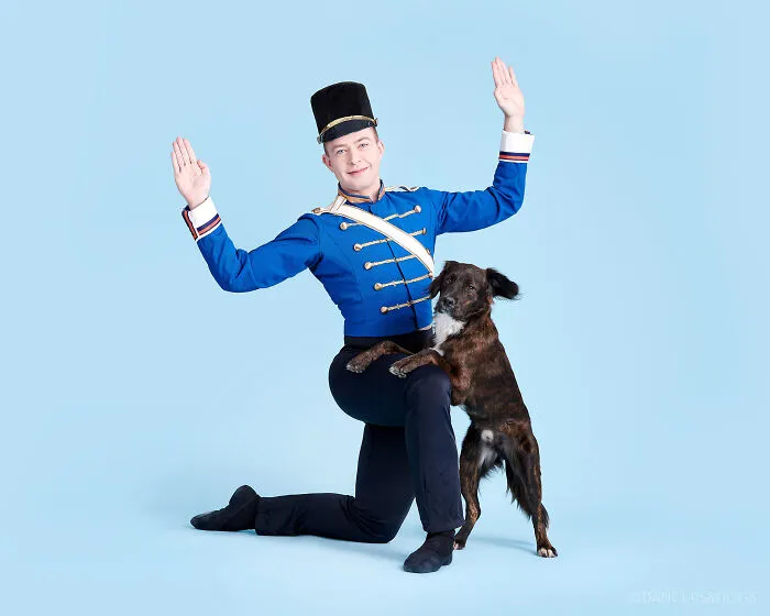 The Muttcracker: Ballet Dancers Dance With Dogs And Cats Who Are Waiting To Get Adopted (50 Pics)