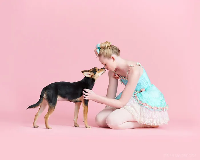 The Muttcracker: Ballet Dancers Dance With Dogs And Cats Who Are Waiting To Get Adopted (50 Pics)
