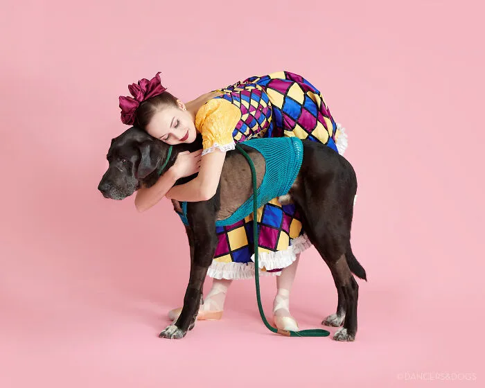 The Muttcracker: Ballet Dancers Dance With Dogs And Cats Who Are Waiting To Get Adopted (50 Pics)