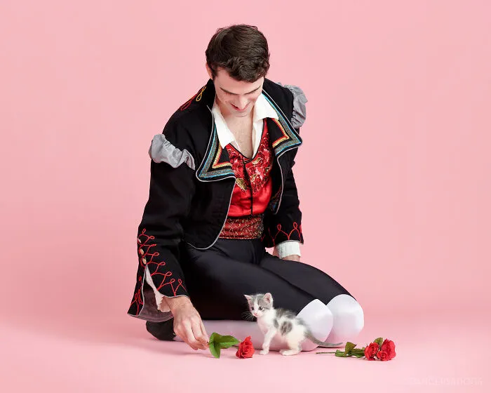 The Muttcracker: Ballet Dancers Dance With Dogs And Cats Who Are Waiting To Get Adopted (50 Pics)