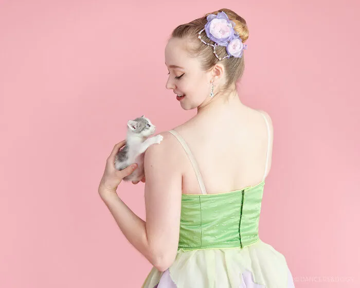The Muttcracker: Ballet Dancers Dance With Dogs And Cats Who Are Waiting To Get Adopted (50 Pics)