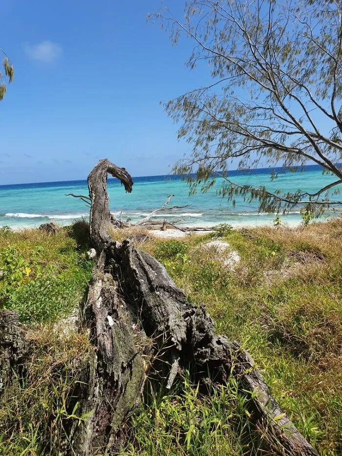 Stradbroke Island