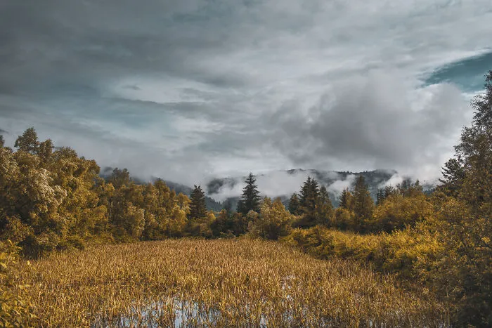 My 35 Photographs Of Ukrainian Carpathians 