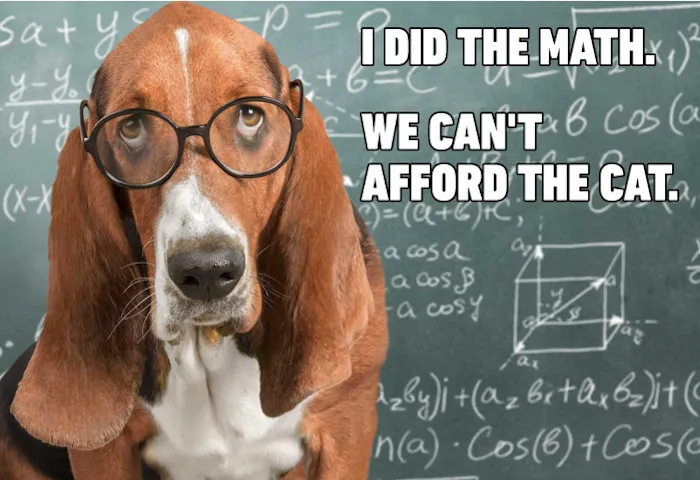 I Did The Math