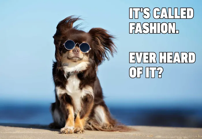 It's Called Fashion
