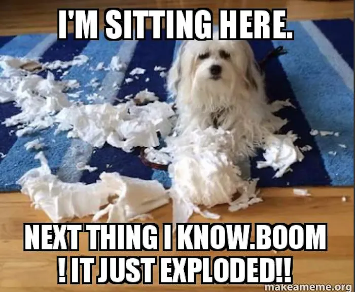 I Was Minding My Business And It Just Exploded Or Something