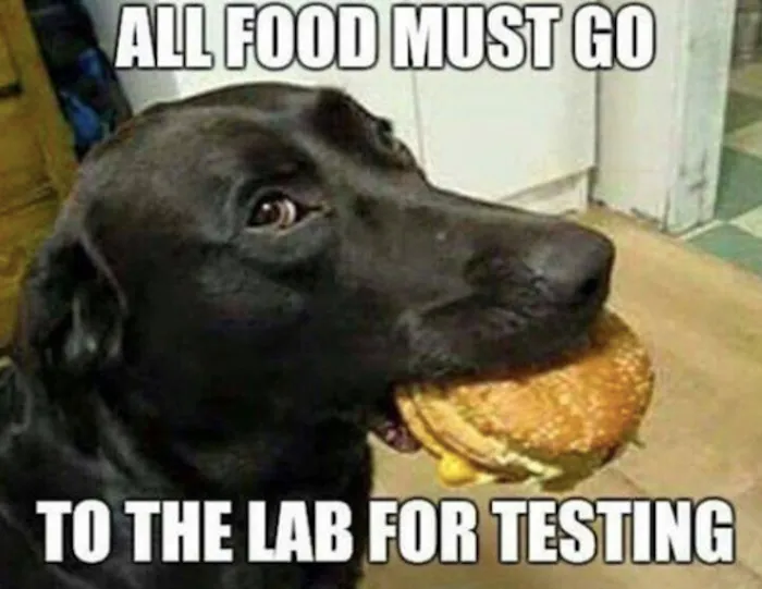 Please Hand Over The Food