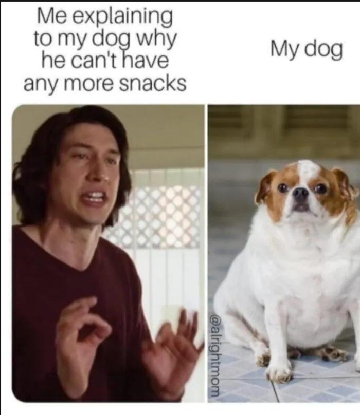 Snrks