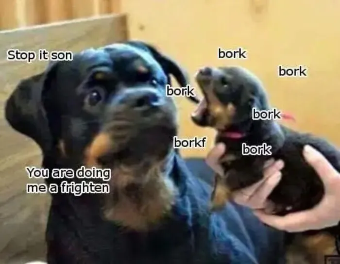 Stop It Son
