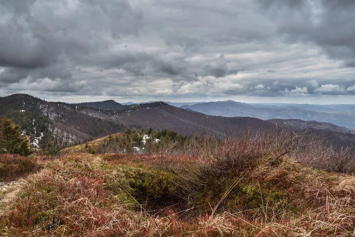My 35 Photographs Of Ukrainian Carpathians 