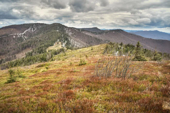 My 35 Photographs Of Ukrainian Carpathians 