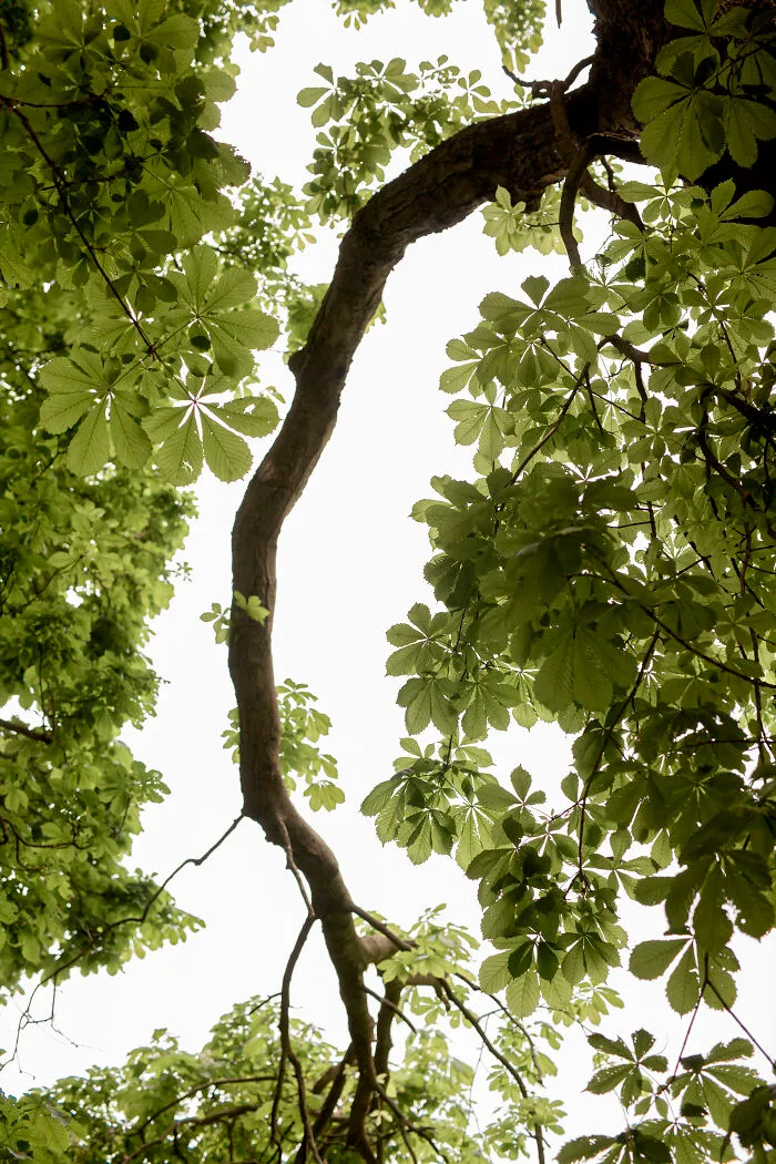 Le Curve Della Natura