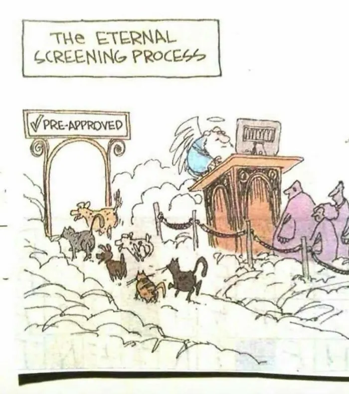 Heaven’s Waiting Room  