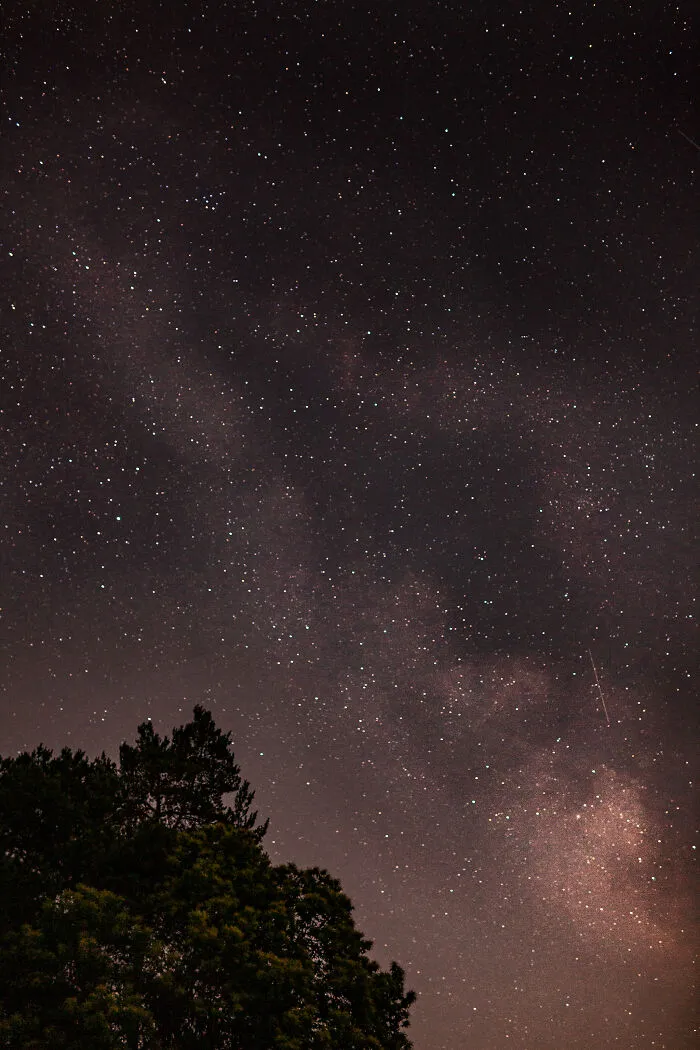 The Milky Way