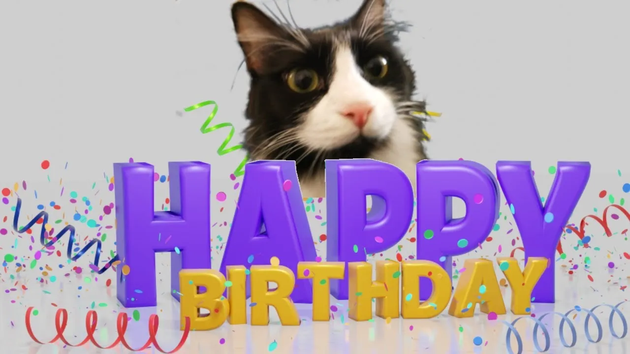 How To Make A Birthday Cake For A Cat