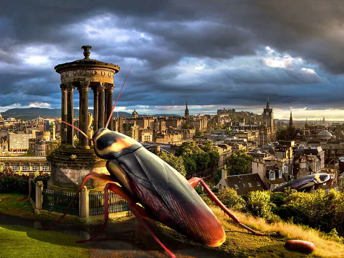 Contestants From A Photoshop Challenge Put Exaggerated Objects In Cities (55 Pics)
