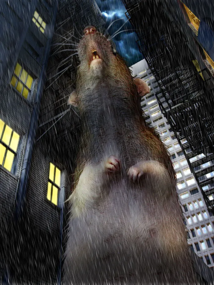 Contestants From A Photoshop Challenge Put Exaggerated Objects In Cities (55 Pics)