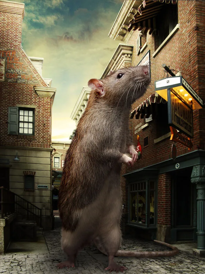 Contestants From A Photoshop Challenge Put Exaggerated Objects In Cities (55 Pics)