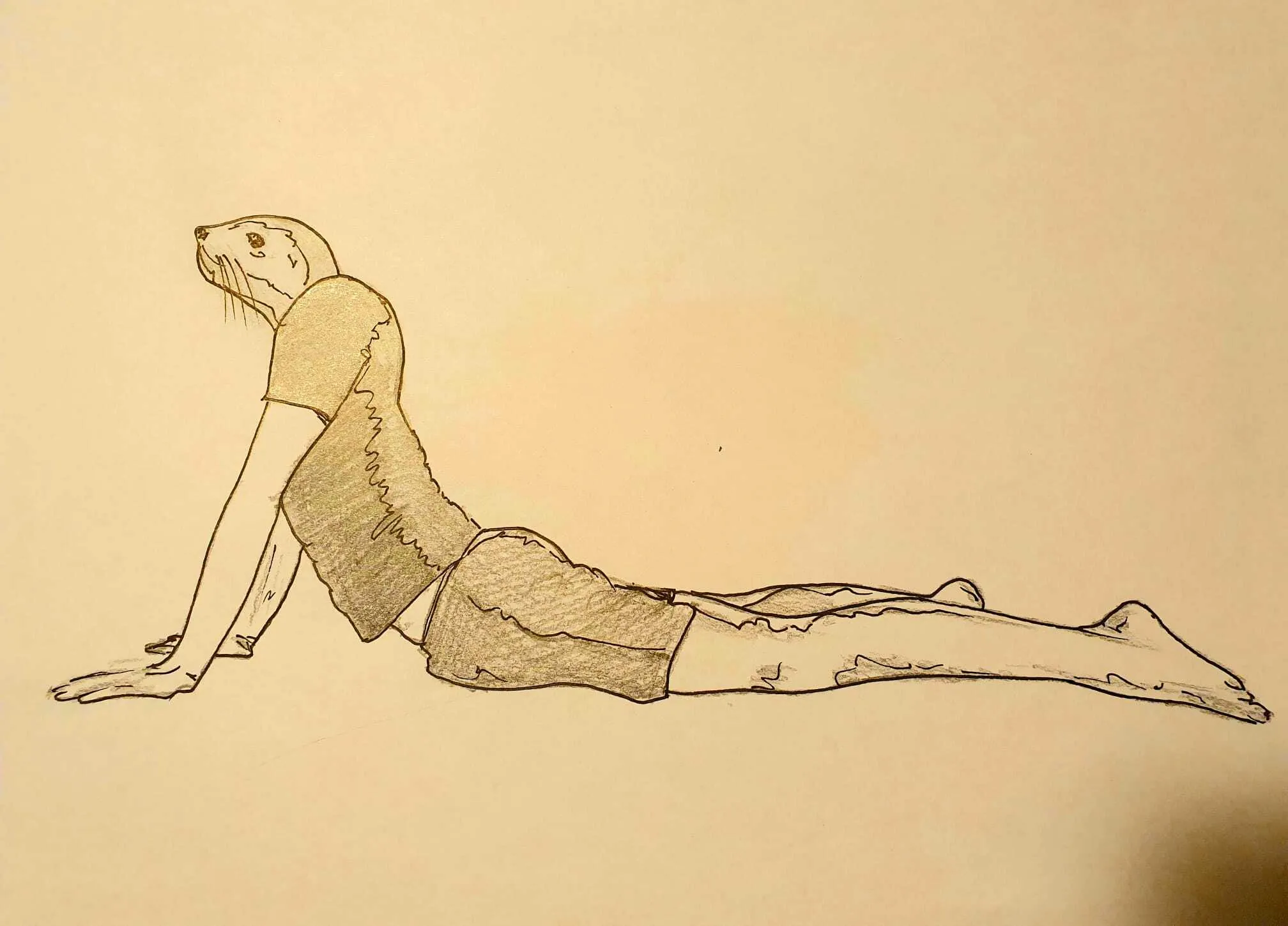 I Put Animal Heads On Fitting Yoga Poses