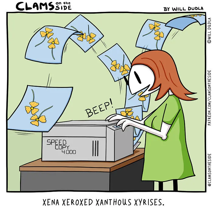 Here Are Many Hours Of Fun And Frustration Put Into 26 Alliterated Comics