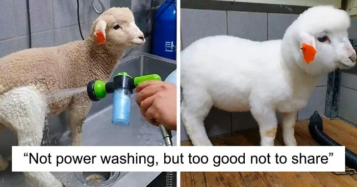 50 Times Things Were Completely Transformed By Cleaning Them