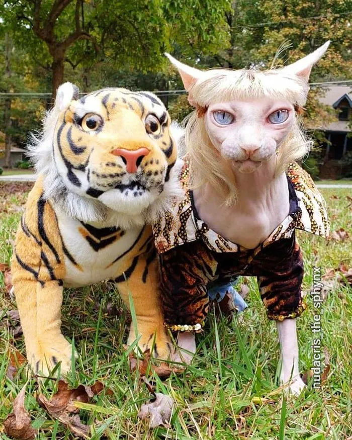 Joe Exotic