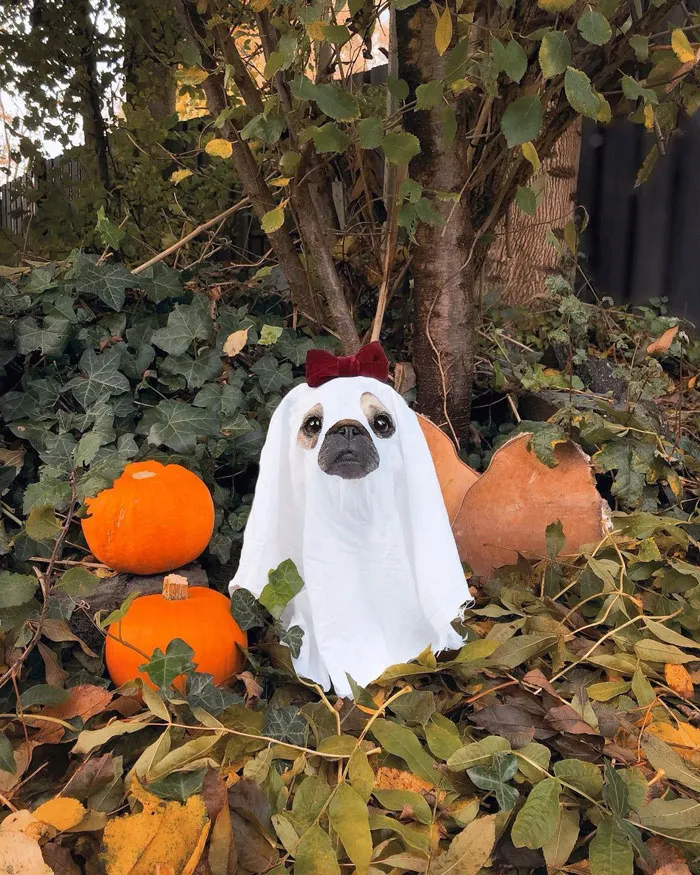 Fantasma terrorífico