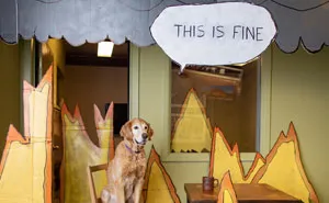 40 Mascotas que triunfaron con sus disfraces de Halloween