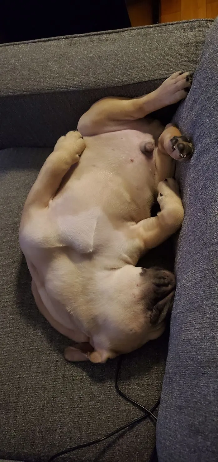 Nap Time