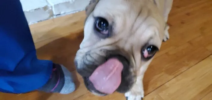 Mmmmm Boogers