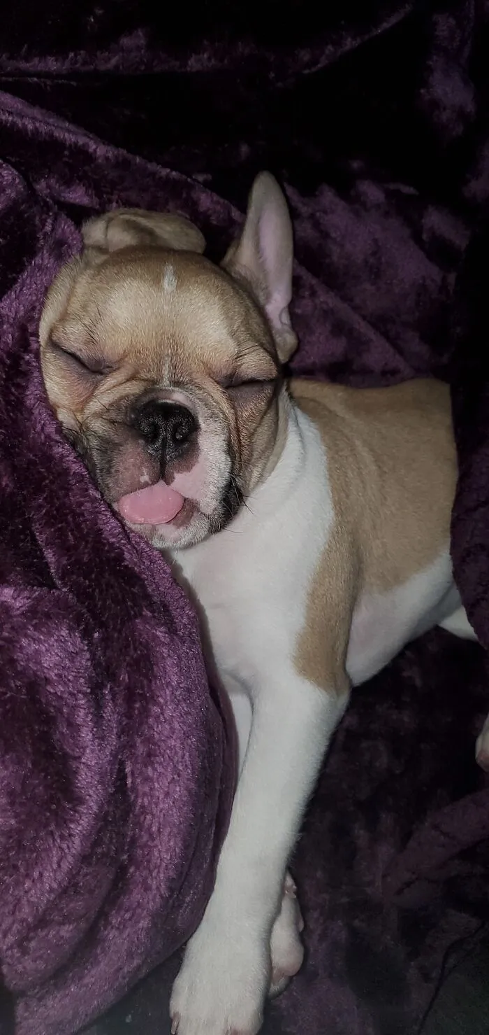 Zzzzzz