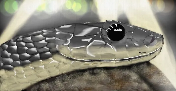 A Little Something I Did On Phone