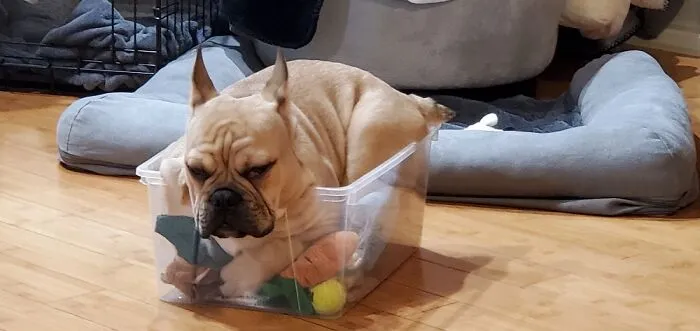 If I Fits I Sits