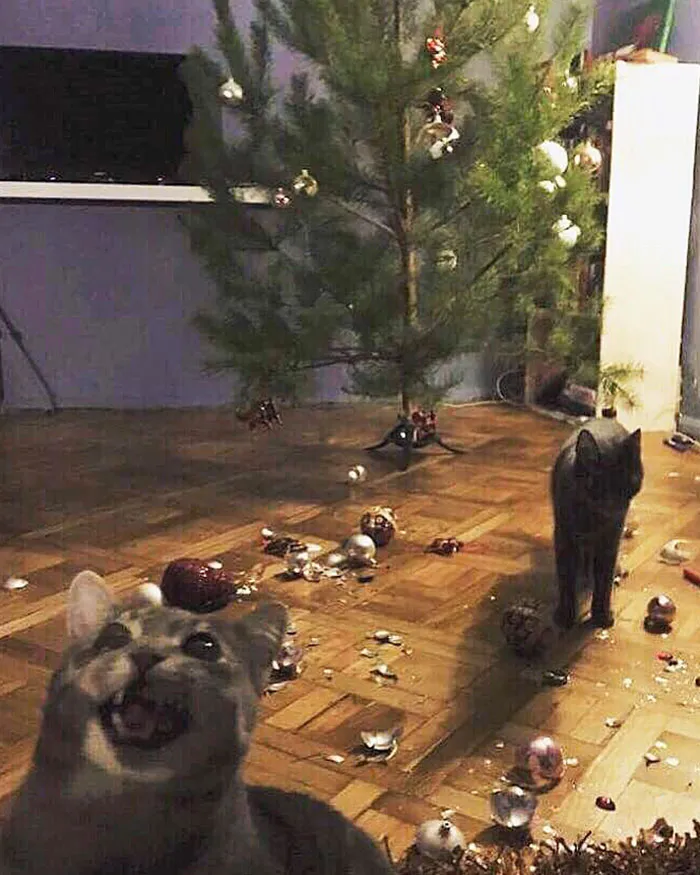 Now We Need New Christmas Tree Toys
