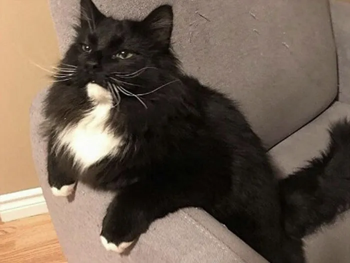 My Name Is Atticus. I Was In The ICU For 2 Days But It Turns Out I Was Just Constipated. My Giant Turd Cost $2,536
