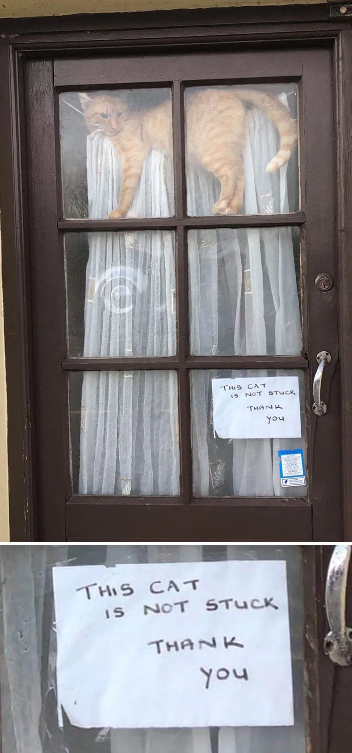 I Can Only Imagine What The Owner Must Have Been Through