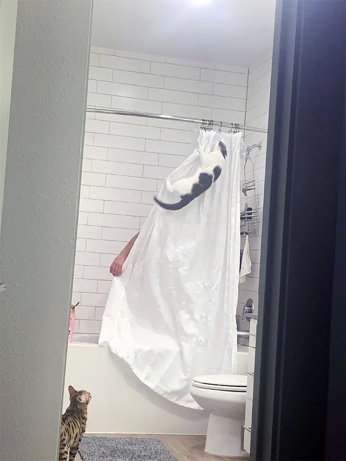 Oí a mi marido gritar en la ducha y me los he encontrado así