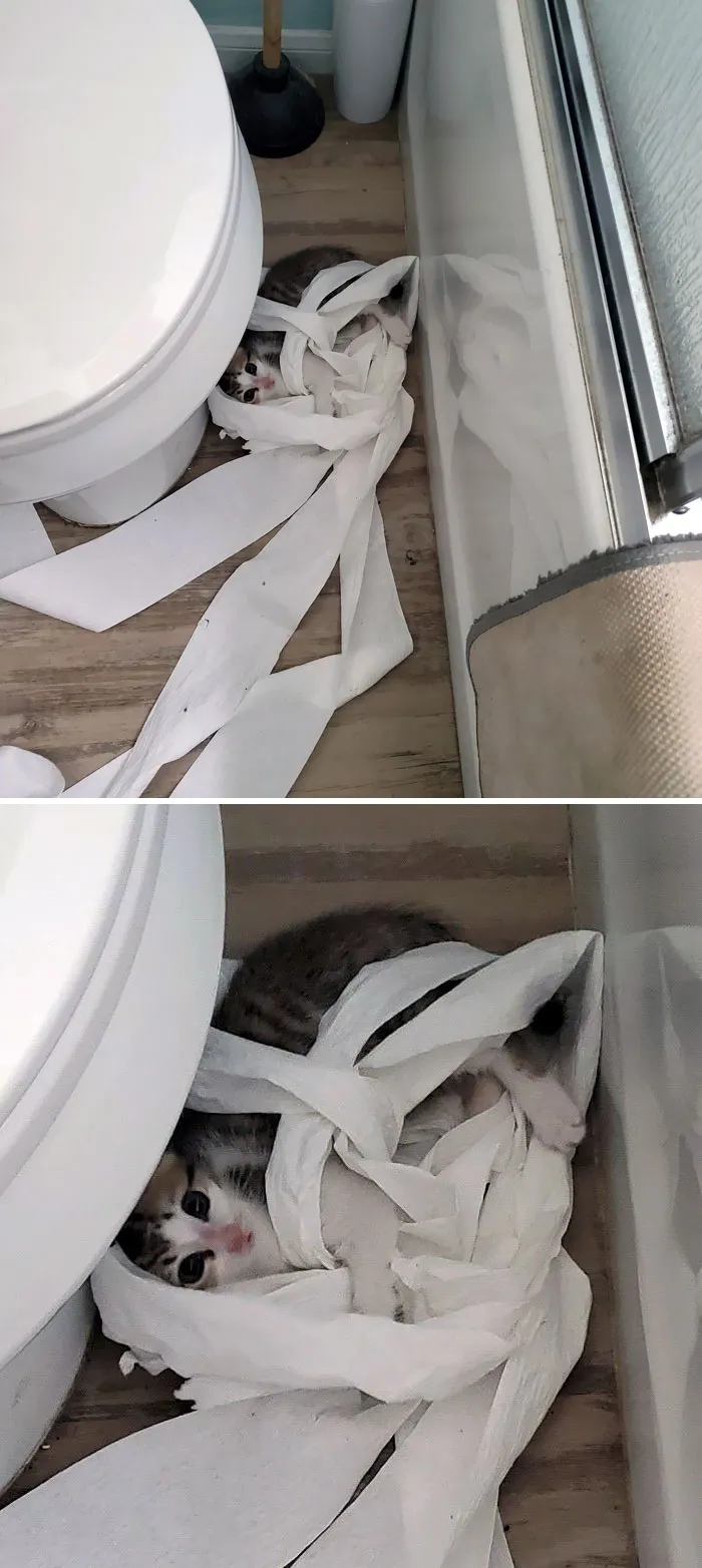 Necesitaba ir al baño y me lo encontré así