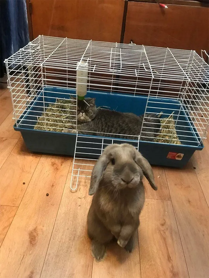 “Mom? Halp”