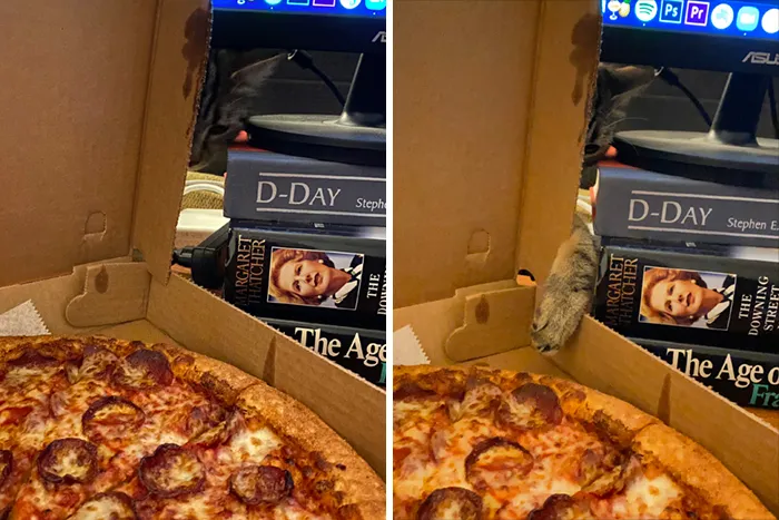 Le gusta la pizza