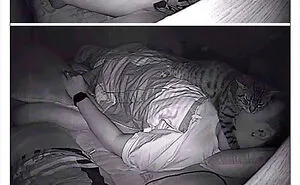 50 Hilarious Photos That Prove Cats Are The Biggest Jerks