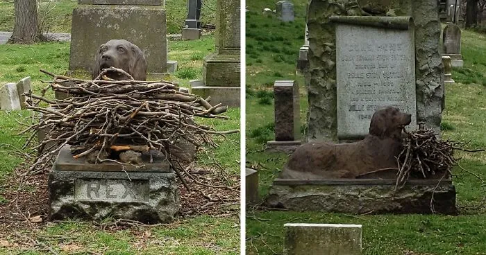 People Are Leaving Sticks At A Cemetery To Pay Tribute To This Dog Who Died 100 Years Ago