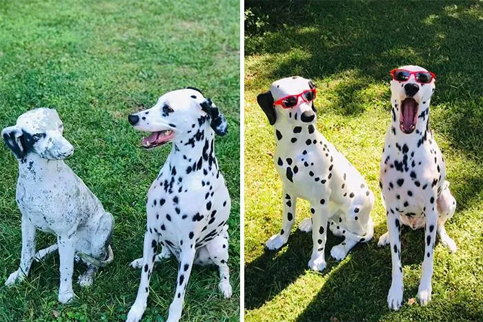 Before And After The Makeover! This Garden Dog Had Seen Better Days 10 Years Ago When I Found It By A Dumpster. The Florida Sun Did Even More Damage.  It’s Spot On Now!